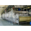 DW Series Mesh-Belt Drying machine for melon seeds dryer